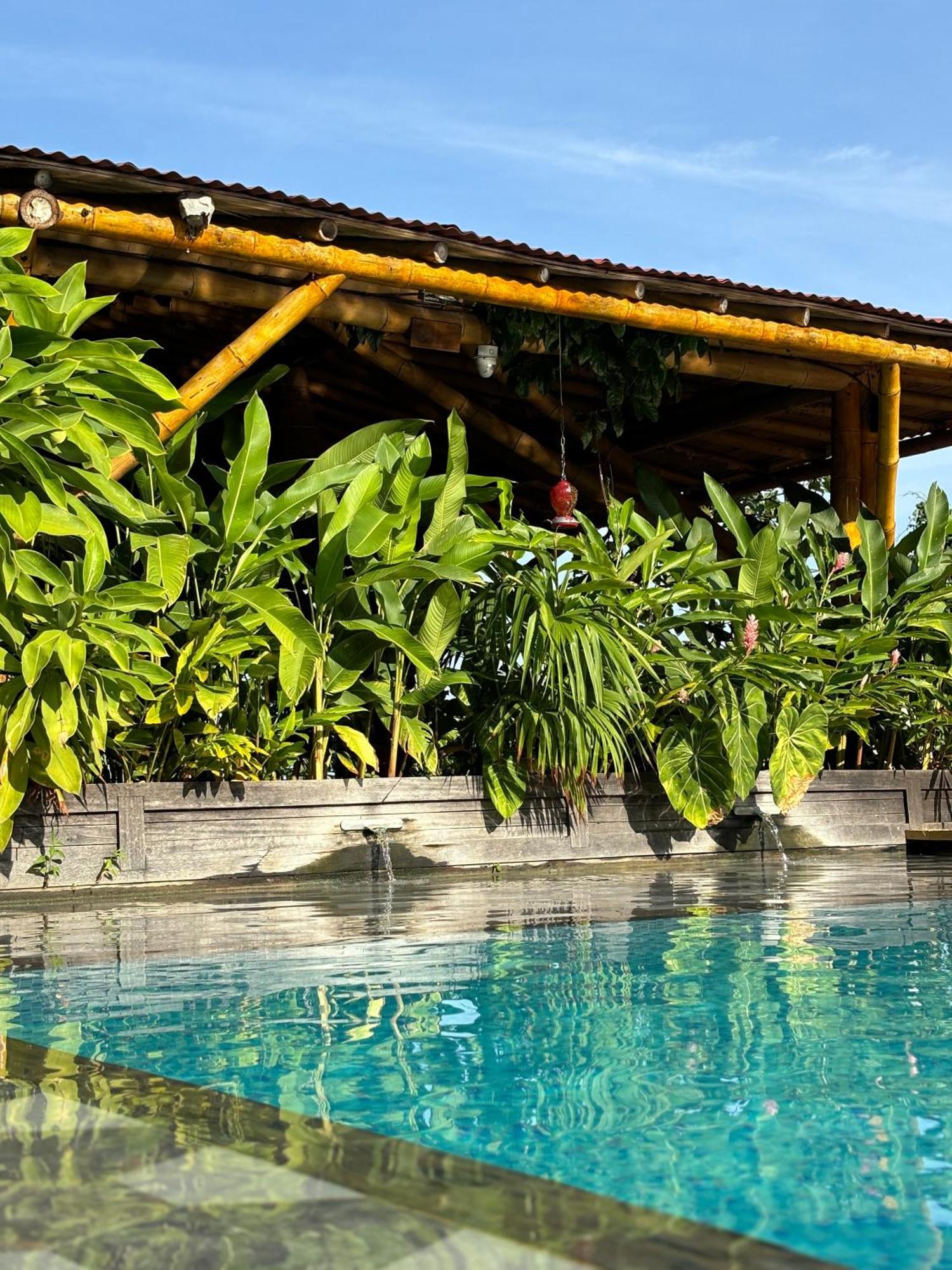 La Veranda Hotel & Restaurant Minca Eksteriør bilde